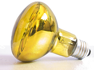 Image showing Bulb