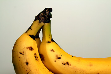 Image showing Bananas