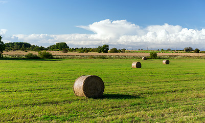 Image showing haystacks or hay rolls on summer field