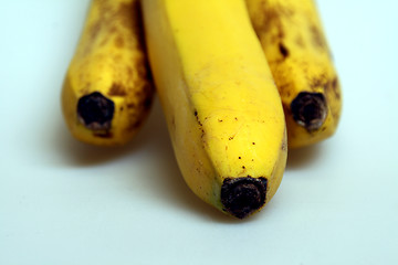 Image showing Bananas