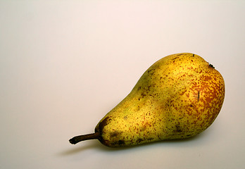 Image showing Pear