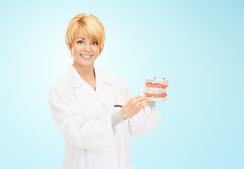 Image showing happy female doctor with toothbrush and jaws model