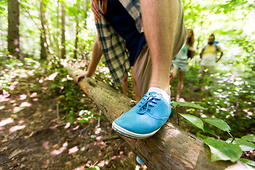 Image showing close up of man climbing over tree trunk in woods