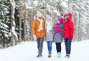 Image showing group of smiling men and women in winter forest