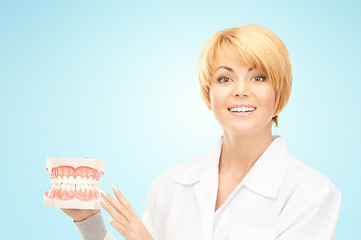 Image showing happy female doctor with jaws model