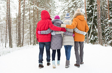 Image showing group of happy men and women in winter forest