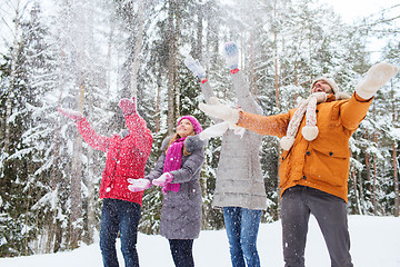 Image showing group of smiling men and women in winter forest