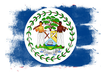 Image showing Flag of Belize painted with brush