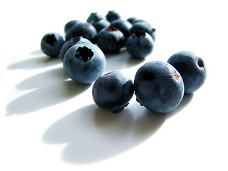 Image showing Blueberries macro on white