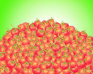 Image showing heap of red tomatoes 