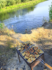 Image showing barbecue from hen's meat cooking in the nature
