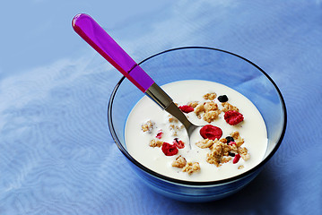 Image showing Breakfast cereal