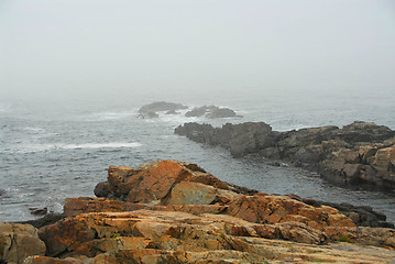 Image showing Rocky coast in Maine