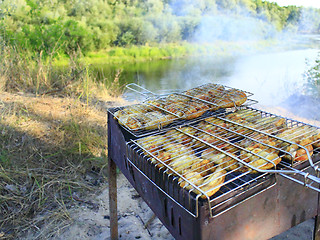 Image showing barbecue from hen's meat cooking in the nature