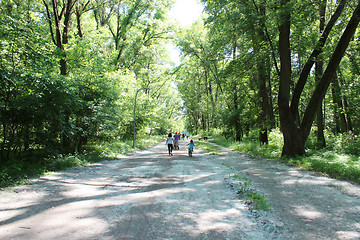 Image showing People have a rest in park with big trees