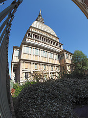 Image showing Mole Antonelliana in Turin