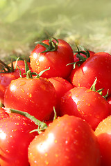 Image showing red tomatoes 