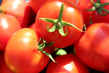 Image showing red ripe tomatoes 