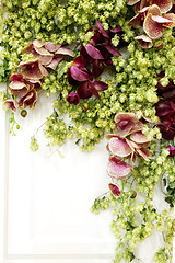 Image showing ikebana from flowers and leaves on white