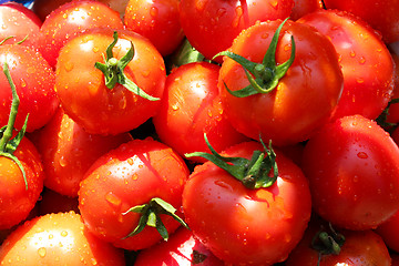 Image showing red ripe tomatoes 