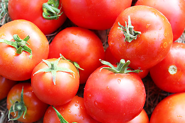 Image showing crop of red ripe tomatoes 