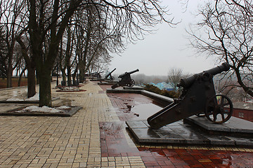 Image showing old cannons in the park in gloomy February