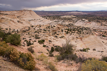 Image showing Moki Hill, Utah, USA
