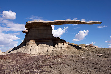 Image showing King of Wings, New Mexico, USA