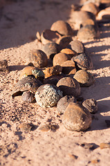 Image showing Moki Hill, Utah, USA