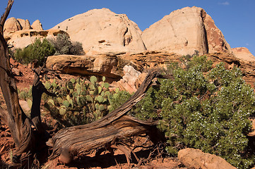 Image showing Capitol Reef NP, Utah, USA