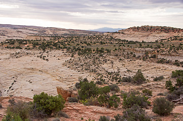 Image showing Moki Hill, Utah, USA