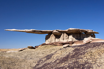 Image showing King of Wings, New Mexico, USA