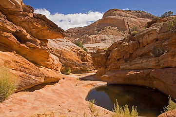 Image showing Capitol Reef NP, Utah, USA