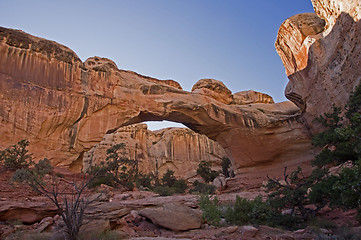 Image showing Capitol Reef NP, Utah, USA