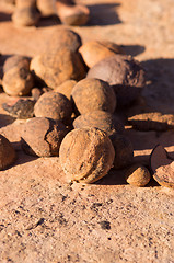 Image showing Moki Hill, Utah, USA