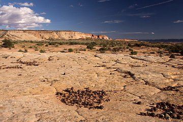 Image showing Moki Hill, Utah, USA