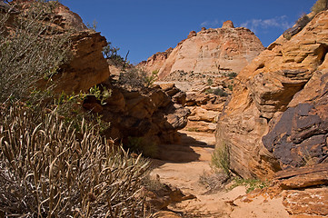 Image showing Capitol Reef NP, Utah, USA