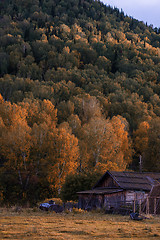 Image showing Autumn 