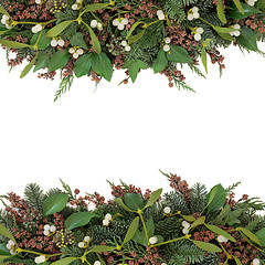 Image showing Mistletoe and Winter Flora