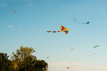 Image showing colorful kites