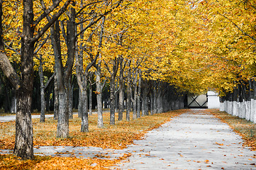 Image showing Autumn park alley