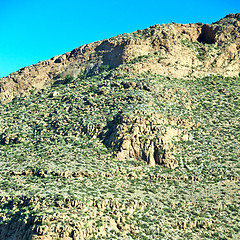 Image showing brown bush  in    valley  morocco         africa the atlas dry m