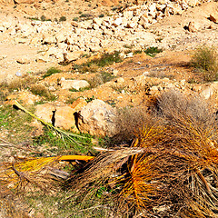 Image showing in   valley  morocco  africa the atlas dry mountain ground isola