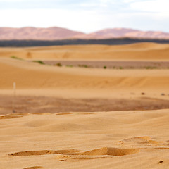 Image showing mountain old fossil in  the desert of morocco sahara and rock  s