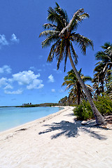 Image showing isla contoy   sand   in mexico froath   sunny day   