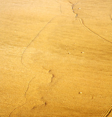 Image showing morocco in africa brown coastline wet sand  