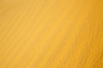 Image showing africa the brown sand  