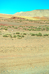 Image showing brown bush  in    valley  morocco         africa   mountain  