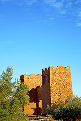 Image showing  tree  contruction and the historical village