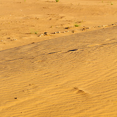 Image showing sunshine in the desert of morocco sand and dune